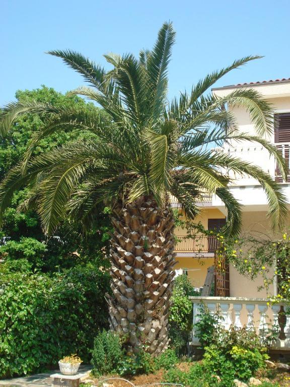 Apartments Labor Vodice Room photo